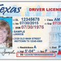 how can i get my texas drivers license audit number