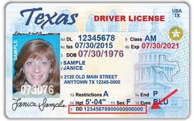 texas drivers license audit number too long